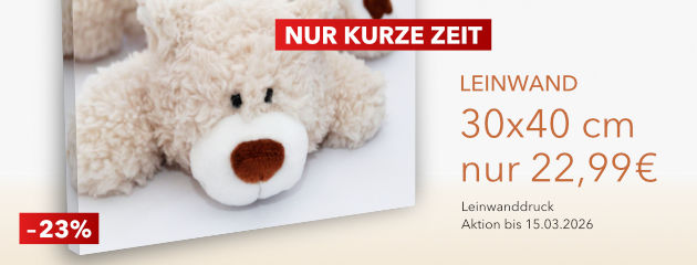 Leinwand 30x40 nur 22,99 €