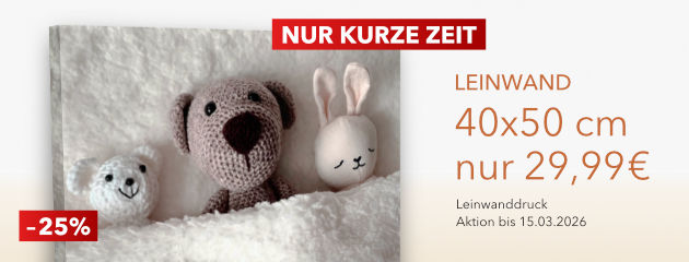 Leinwand 40x50 nur 29,99 €