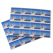 Fotosticker